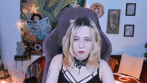 Tolli Moll online show from January 17, 2025, 11:49 am