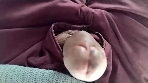 Tomas online show from January 11, 2025, 8:32 pm