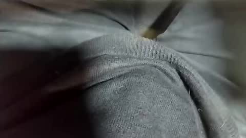 Tomas online show from February 12, 2025, 10:37 pm