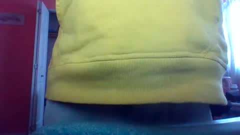 tomcat4848 online show from February 15, 2025, 7:06 pm