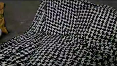 Bima online show from September 24, 2025, 8:45 pm