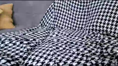 Bima online show from October 17, 2025, 9:01 am