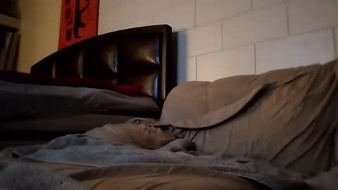 tomthebomb347 online show from September 14, 2025, 10:20 pm