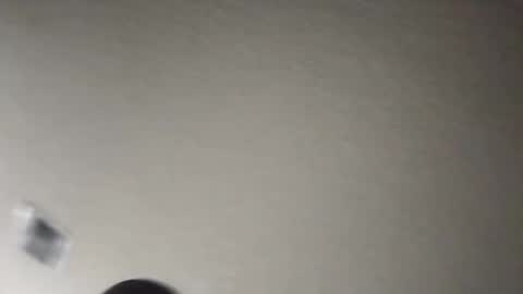 tomthebomb347 online show from November 17, 2025, 12:16 am