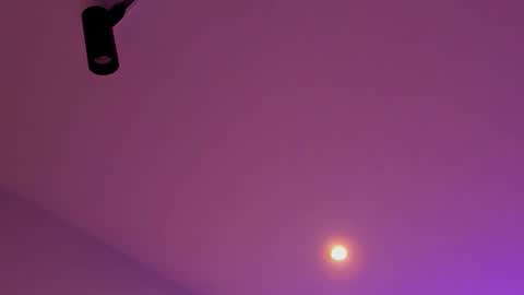 tony_petrov online show from January 8, 2026, 3:20 am