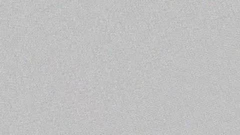 toomuchsmoke online show from January 22, 2025, 2:48 am