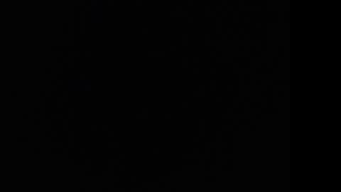 tooobvious online show from January 10, 2025, 1:32 am