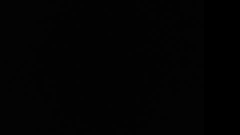 tooobvious online show from January 10, 2025, 4:33 am