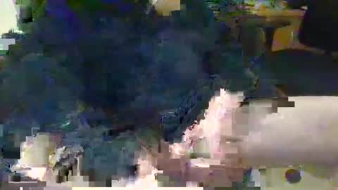 Topcat127 online show from March 5, 2025, 6:23 am