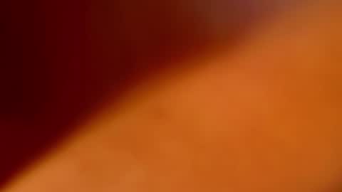 Tori Cross online show from February 3, 2025, 11:42 am