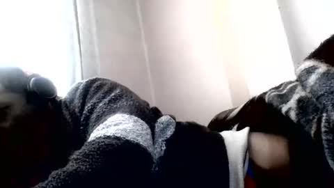 Snapshot of torresurionasantos chatting on February 5, 2026, 1:05 pm torresurionasantos online show from February 5, 2026, 1:05 pm