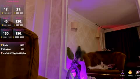 torri kitten online show from December 29, 2024, 8:33 am