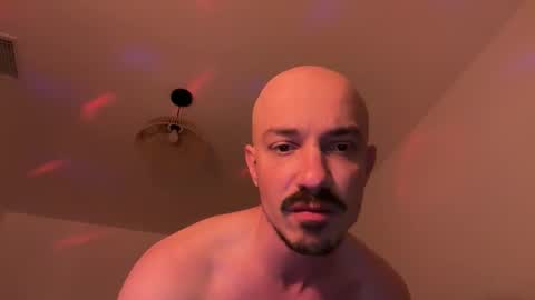 torrobxl online show from June 7, 2026, 5:55 am