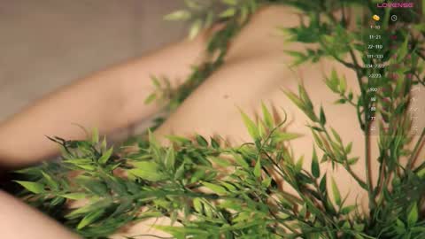 Snapshot of toshimori chatting on November 3, 2025, 1:01 pm Toshi online show from November 3, 2025, 1:01 pm