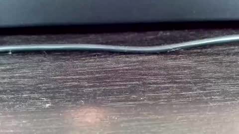 Vasiliy online show from February 24, 2025, 5:22 am