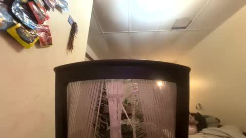 tracy227 online show from November 9, 2025, 10:41 pm