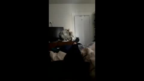 tranediz online show from December 1, 2025, 8:03 pm