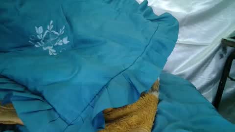 transexdotada online show from October 23, 2025, 5:12 pm