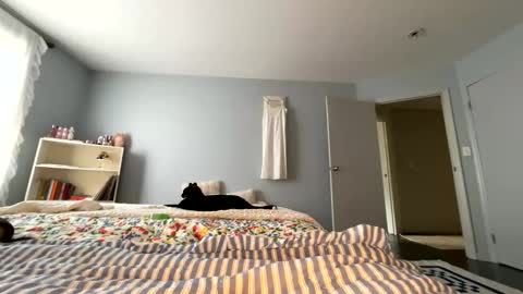 Snapshot of transgirl007 chatting on May 30, 2026, 9:12 pm transgirl007 online show from May 30, 2026, 9:12 pm