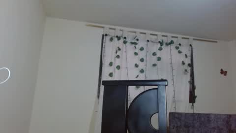 trebol_4 online show from March 1, 2026, 8:55 pm