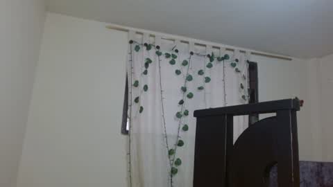 trebol_4 online show from July 26, 2026, 8:38 pm