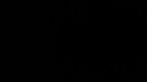 treeguyroc online show from March 5, 2026, 2:40 am