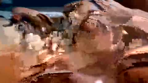 trigood online show from February 13, 2025, 2:01 am