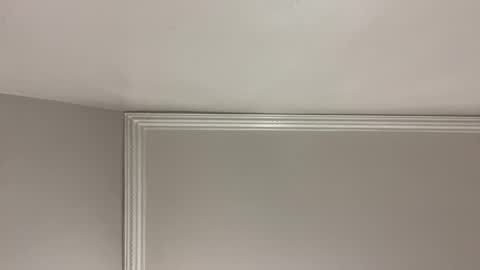 WapBopper online show from December 24, 2024, 9:17 am