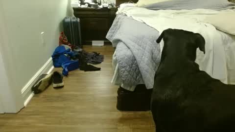 Snapshot of troy1965 chatting on September 29, 2025, 4:39 am troy1965 online show from September 29, 2025, 4:39 am