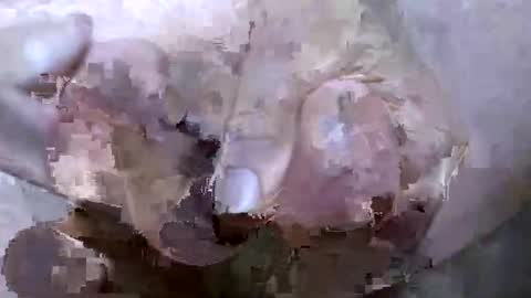 troy1965 online show from April 21, 2026, 5:03 am