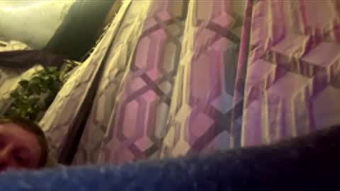 tryagainbish296 online show from January 16, 2026, 8:40 am