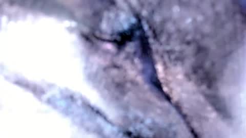   Stella Hanlon    - - online show from February 12, 2025, 3:18 am