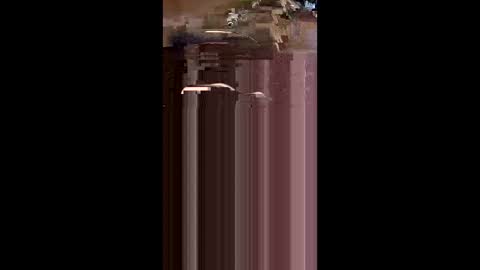 Snapshot of tshull0009 chatting on April 1, 2026, 6:05 pm tshull0009 online show from April 1, 2026, 6:05 pm