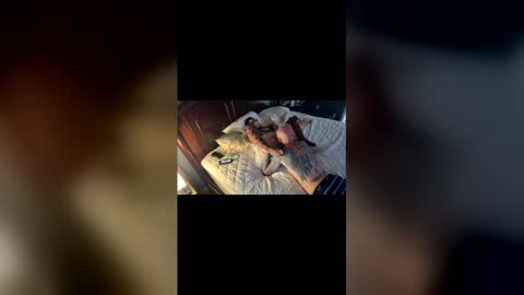 tslizzy0084 online show from March 29, 2026, 5:18 am