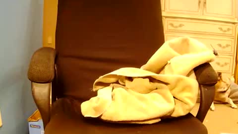 Snapshot of turnmetrans chatting on March 17, 2026, 9:51 pm Turnmetrans online show from March 17, 2026, 9:51 pm