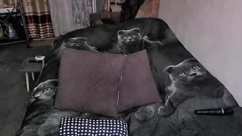 Lana online show from October 23, 2025, 11:35 pm