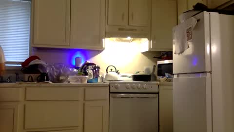 Twin and Lea online show from December 21, 2025, 8:38 pm