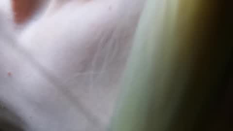 Vicky  Victor online show from March 7, 2025, 4:44 pm