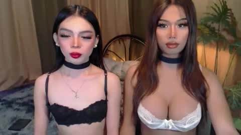 Snapshot of twinktransshanel chatting on October 6, 2025, 4:21 am twinktransshanel online show from October 6, 2025, 4:21 am