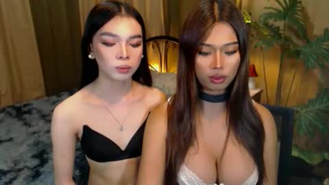 Snapshot of twinktransshanel chatting on October 9, 2025, 5:27 am twinktransshanel online show from October 9, 2025, 5:27 am