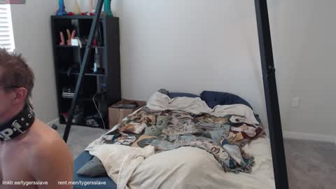 Tygers slave online show from October 13, 2025, 8:42 pm