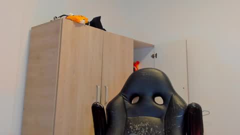     online show from March 2, 2025, 10:59 pm