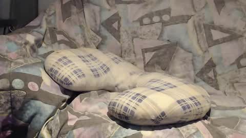 Snapshot of tyson2525 chatting on November 9, 2025, 4:11 am Helena and Tyson online show from November 9, 2025, 4:11 am