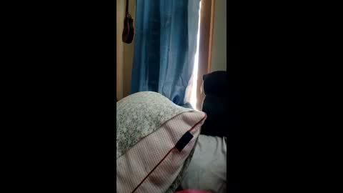 Snapshot of ummm1212 chatting on March 1, 2026, 6:32 pm ummm1212 online show from March 1, 2026, 6:32 pm