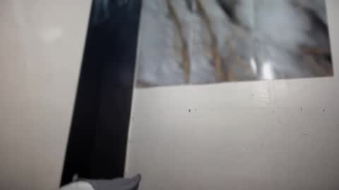 ur_new_obsession online show from December 16, 2025, 9:03 am