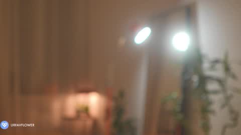 Snapshot of urfavflwers chatting on November 9, 2025, 7:12 pm Aleksandra online show from November 9, 2025, 7:12 pm