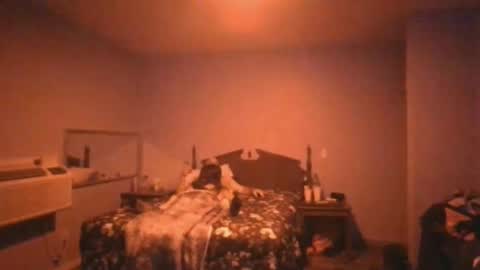 Snapshot of us24u888 chatting on November 21, 2025, 2:21 am us24u888 online show from November 21, 2025, 2:21 am