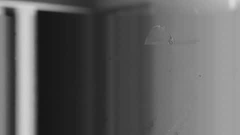 steve online show from December 4, 2025, 10:57 am