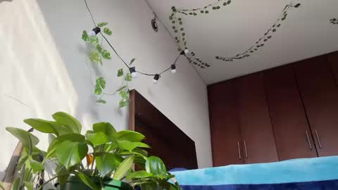 Snapshot of valent1nn chatting on March 11, 2025, 12:39 pm Valentin independent Cam Boy online show from March 11, 2025, 12:39 pm