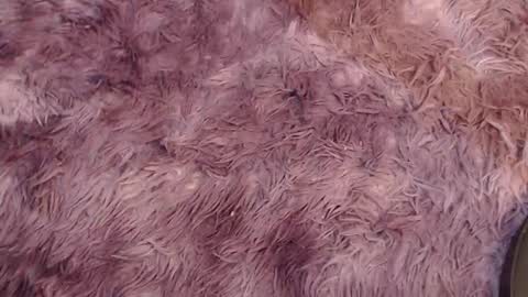 Snapshot of valery_carter01 chatting on February 3, 2026, 2:53 am valery carter01 online show from February 3, 2026, 2:53 am